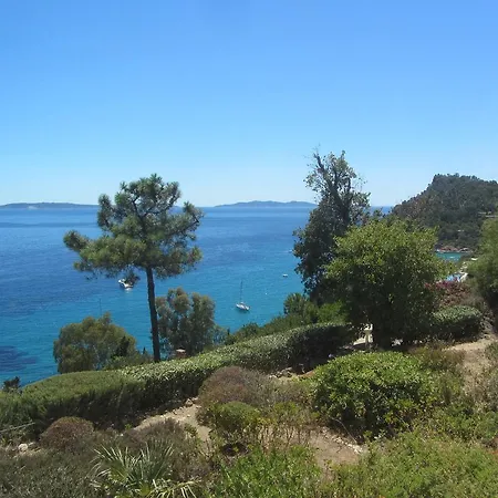 Caline Le Lavandou